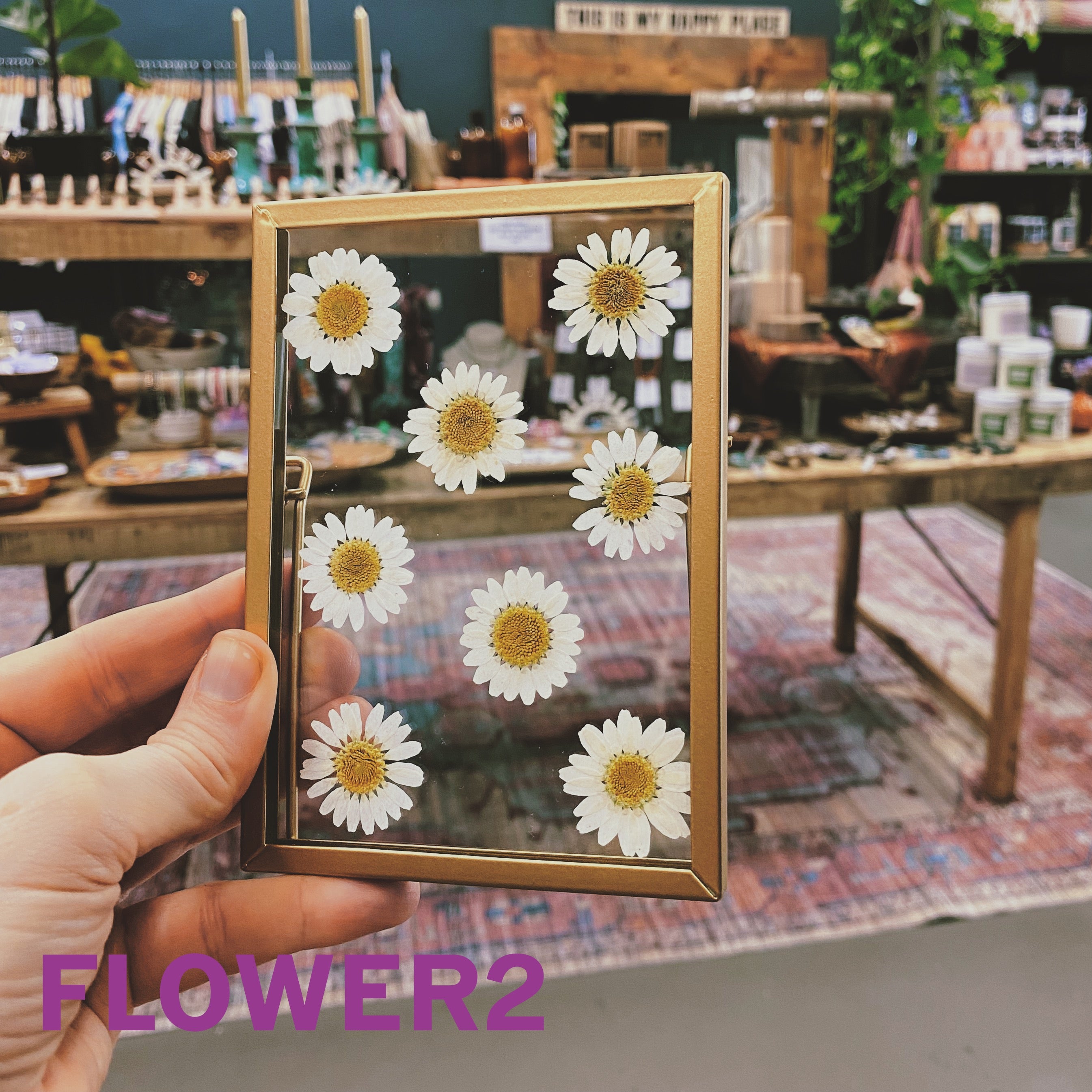 Pressed Flower Frame – posey roe